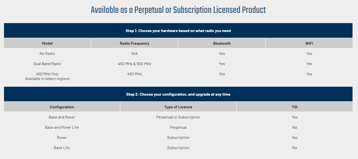Perpetual License Options